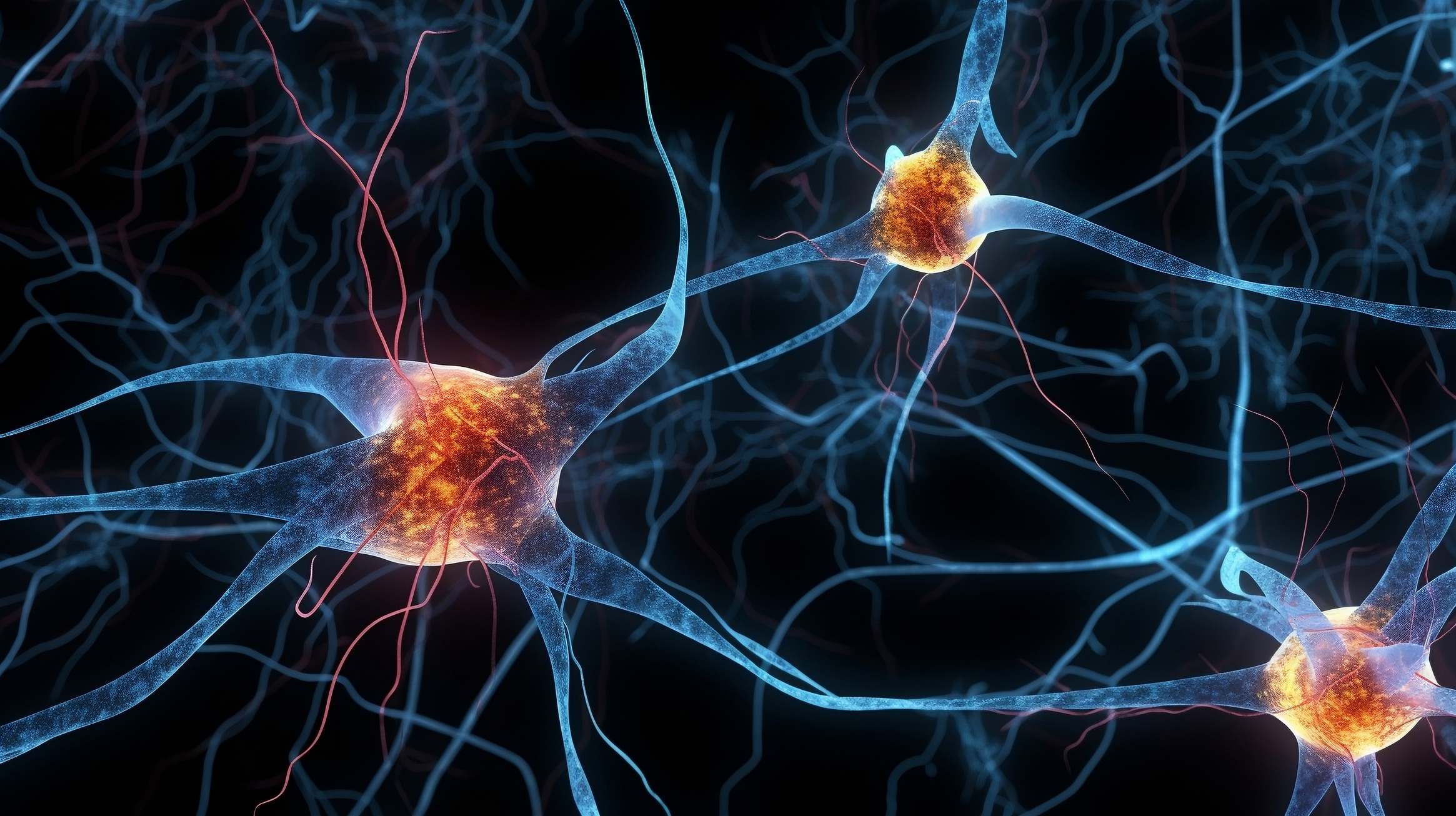 Brain Neuron Cells illustration